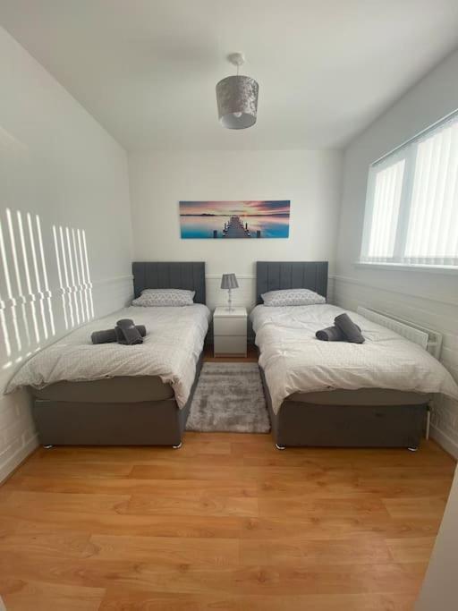 Modern Two Bed House Close To City Centre Belfast Kültér fotó