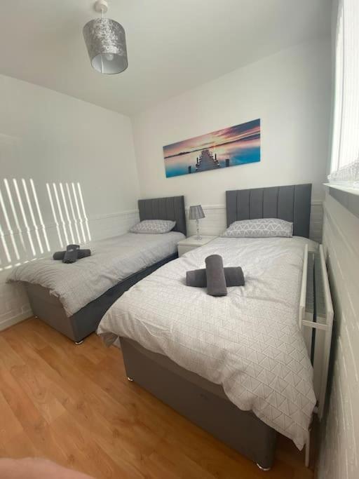 Modern Two Bed House Close To City Centre Belfast Kültér fotó
