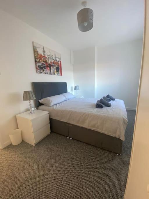 Modern Two Bed House Close To City Centre Belfast Kültér fotó
